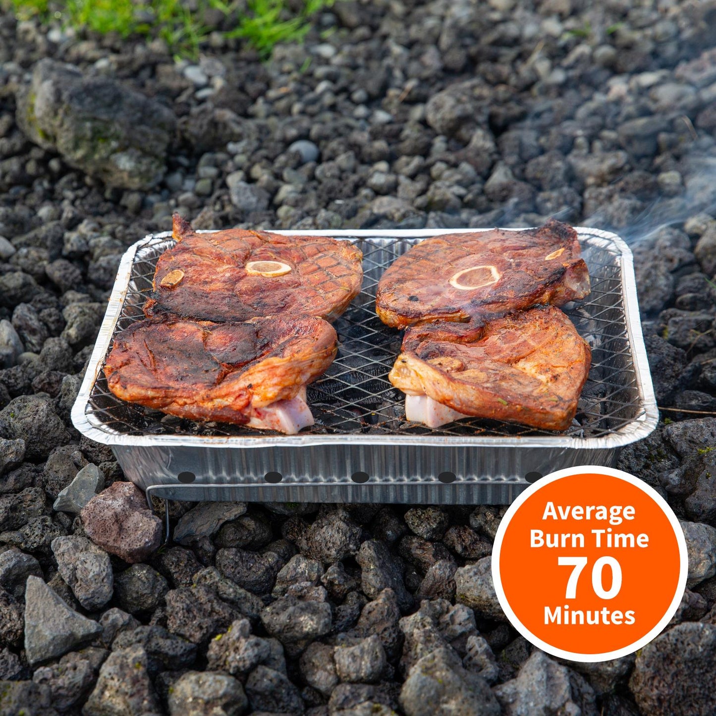 Enjoy a BBQ Anywhere with an Instant Disposable Grill Tray
