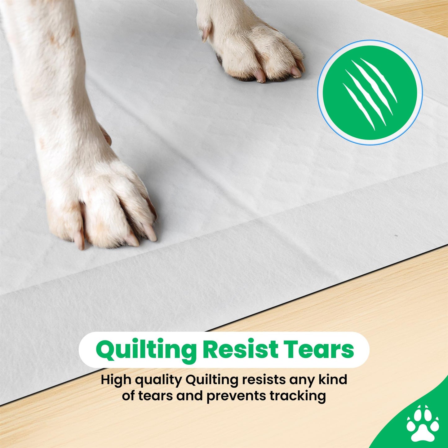 Puppy Training Pads 10 Pack