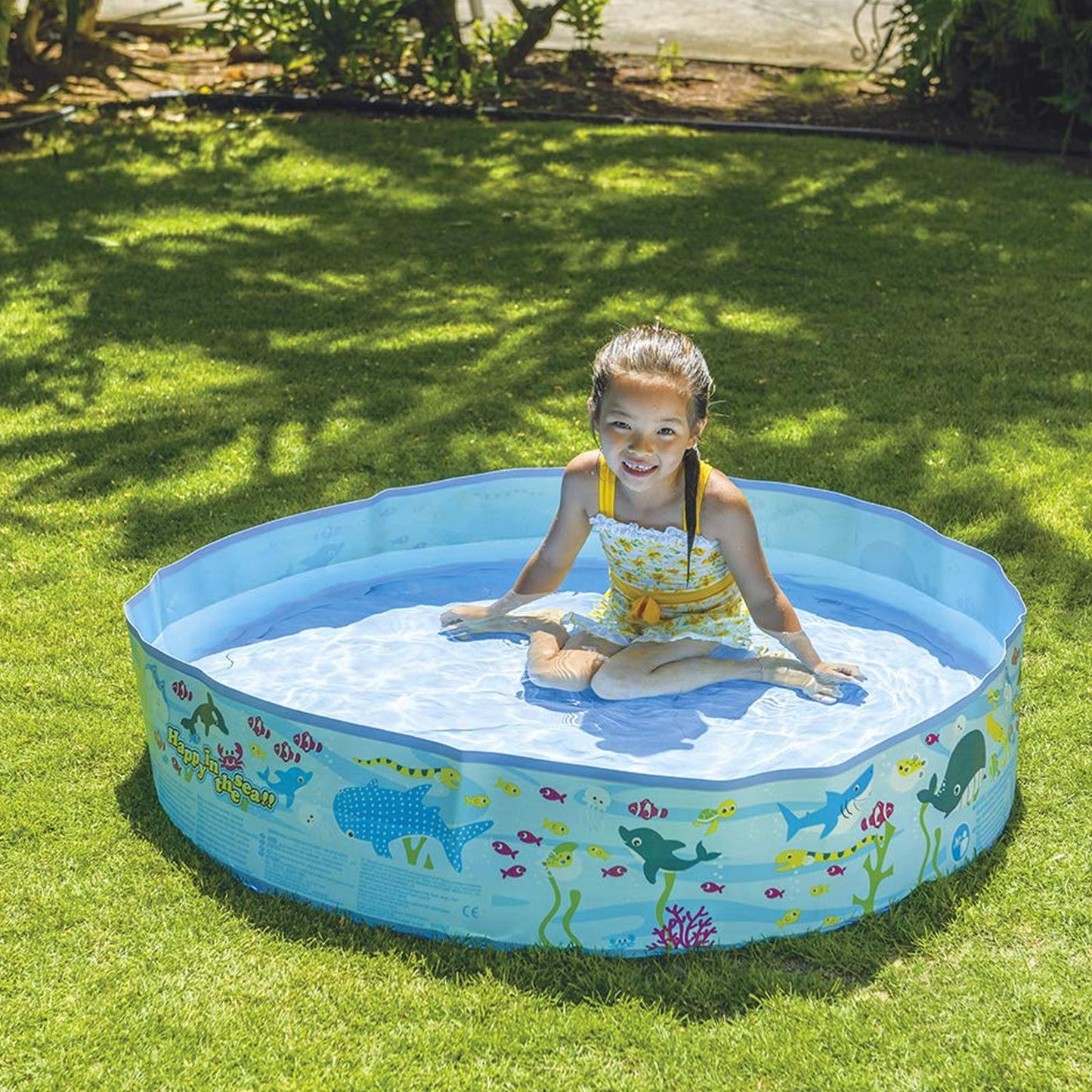 Sturdy Wall Swimming Pool, Fixed Wall Above Ground Pool