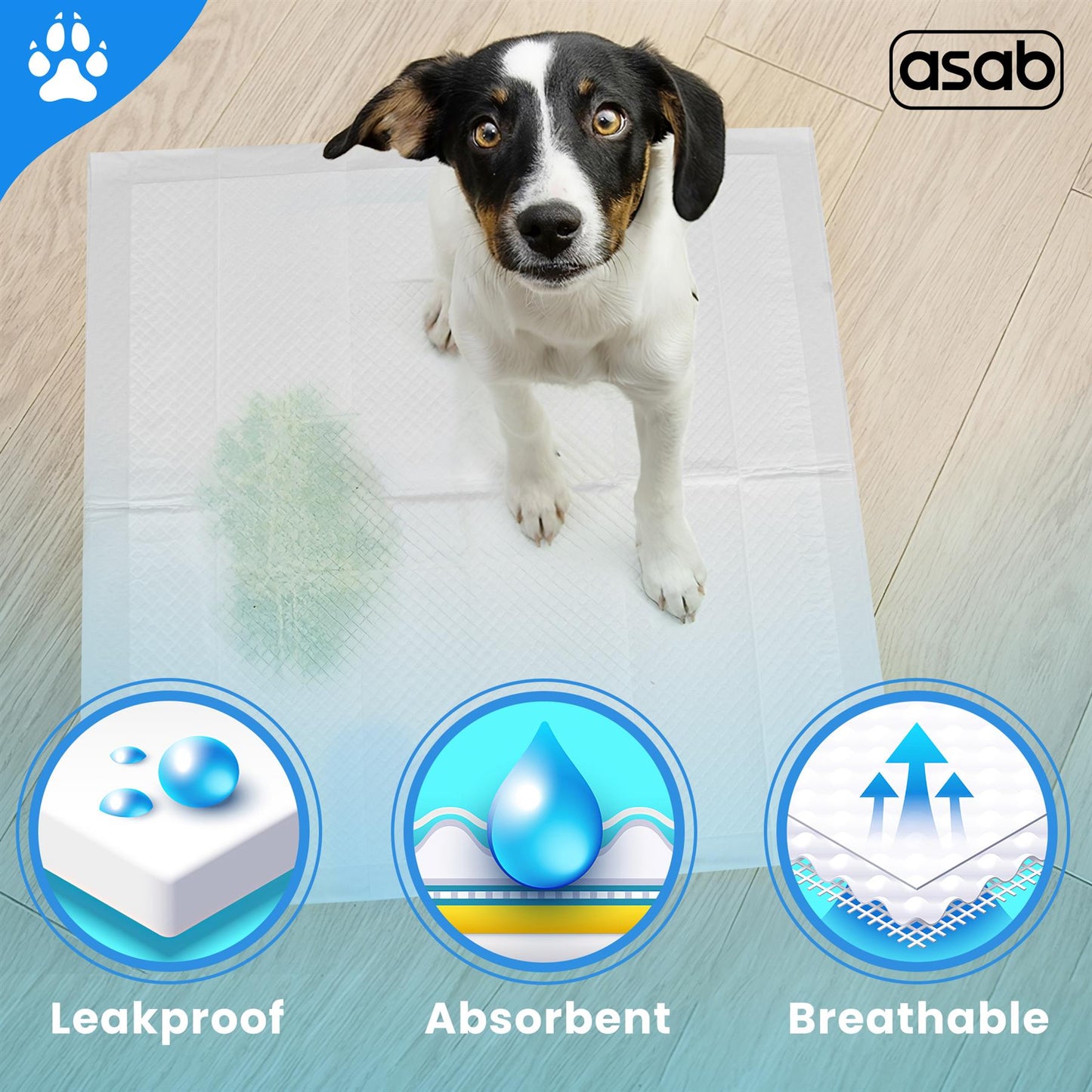 Train Your Pet Dog With Highly Absorbent And Leak-Proof Training Pads