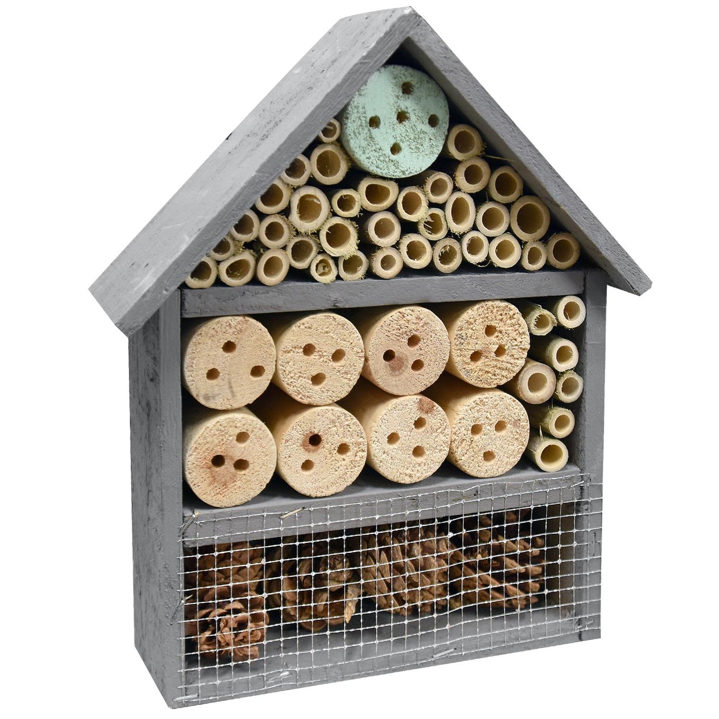 Attract Beautiful Birds with Bird Nut Feeder Feeders