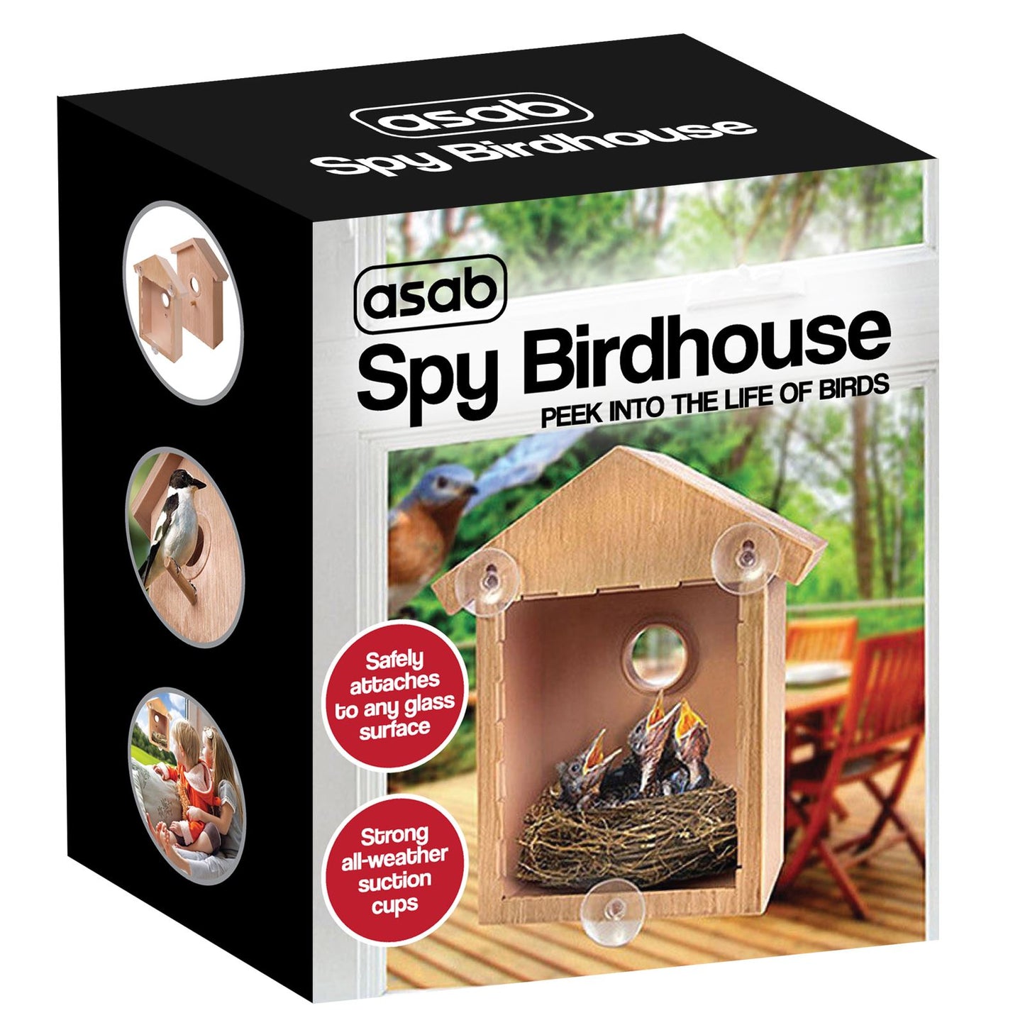 Attract Beautiful Birds with Bird Nut Feeder Feeders