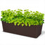 Add Charm to Your Garden with a Rattan Planter