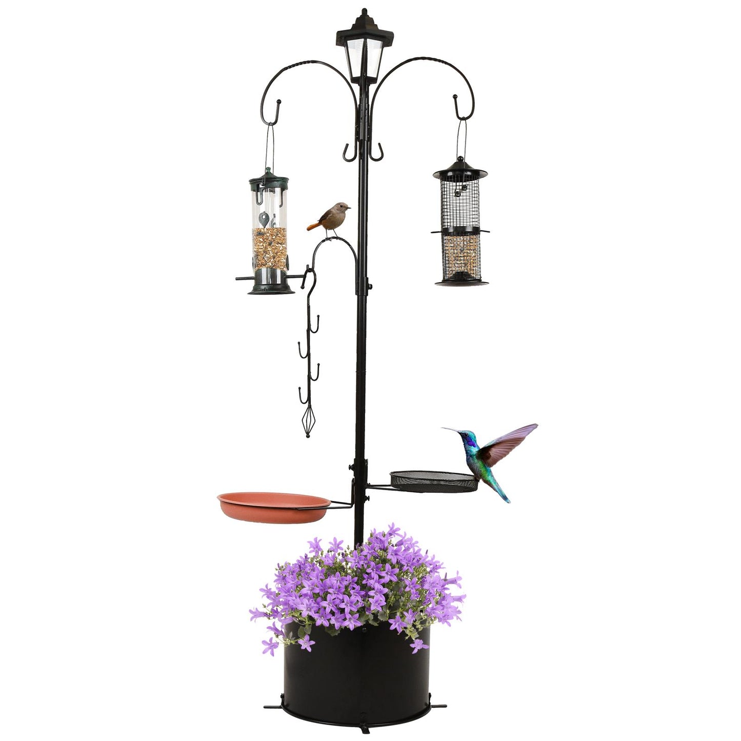 Attract Beautiful Birds with Bird Nut Feeder Feeders