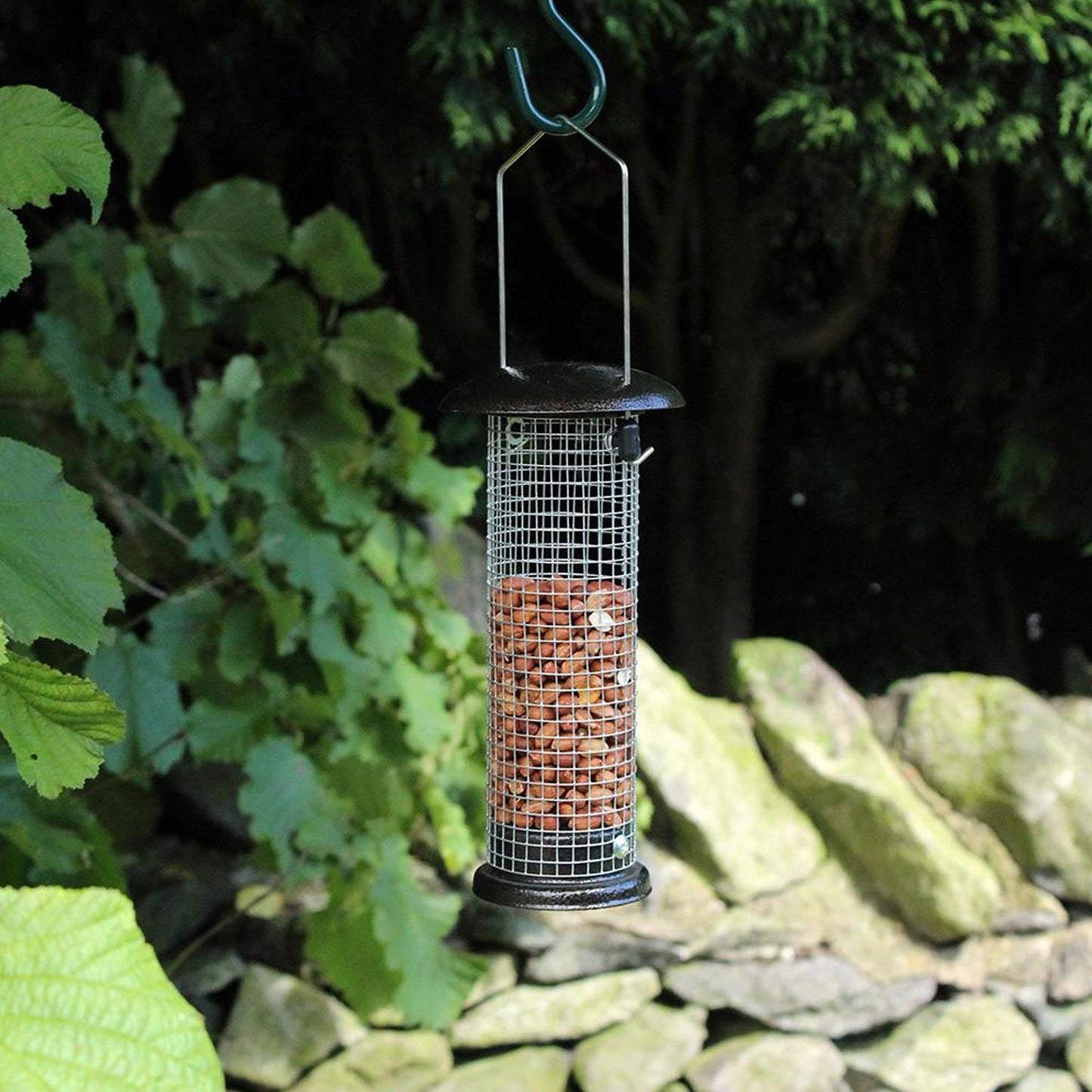 Attract Beautiful Birds with Bird Nut Feeder Feeders