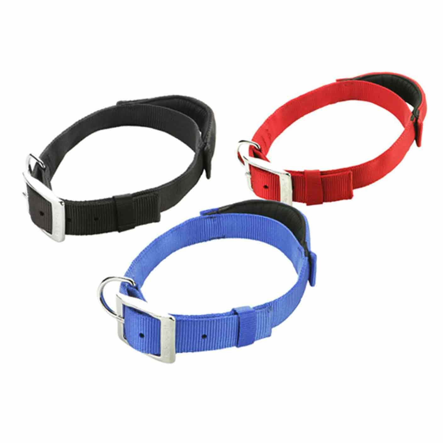 Simple and Functional: Basic Dog Collar
