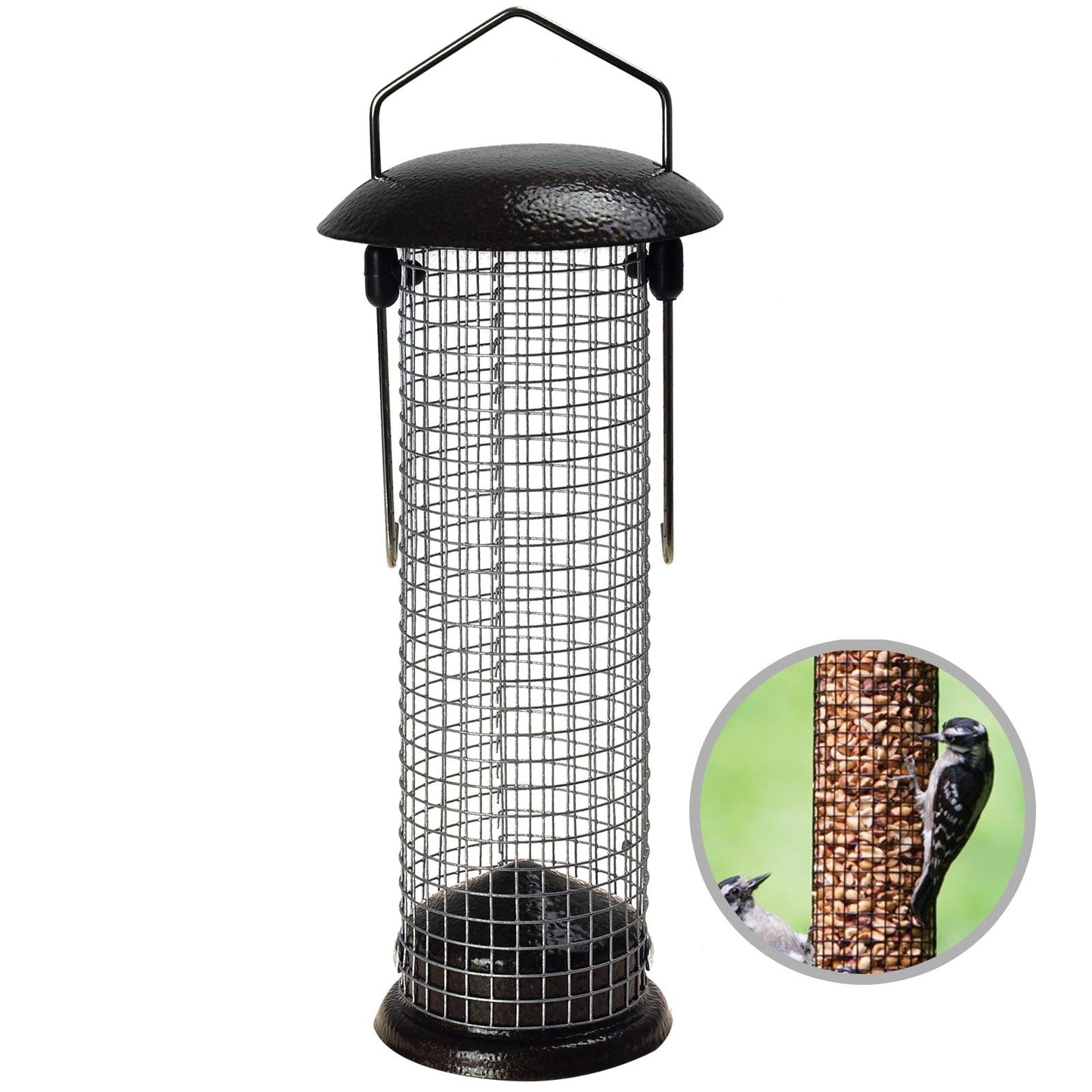 Attract Beautiful Birds with Bird Nut Feeder Feeders