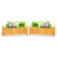 Wooden Garden Flower Planter