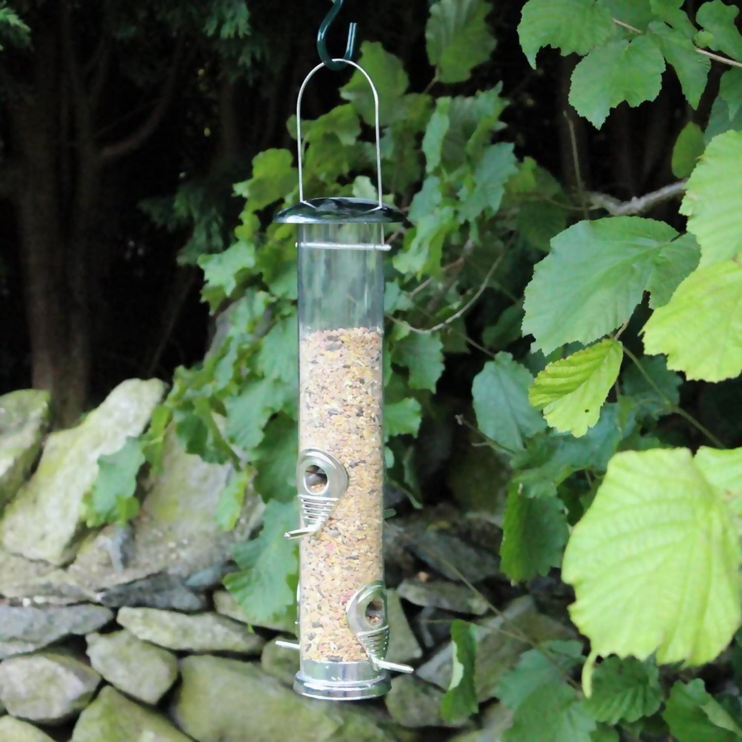 Attract Beautiful Birds with Bird Nut Feeder Feeders