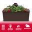 Add Charm to Your Garden with a Rattan Planter