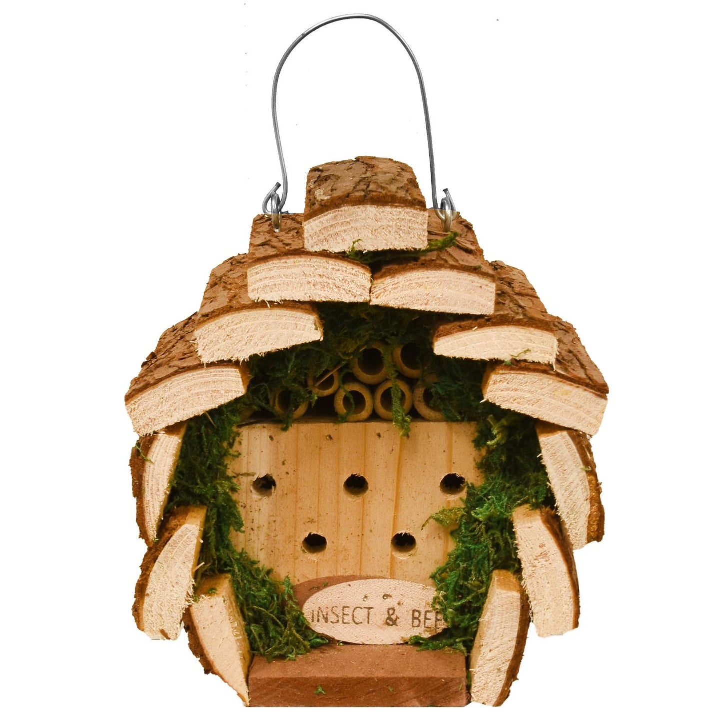 Attract Beautiful Birds with Bird Nut Feeder Feeders