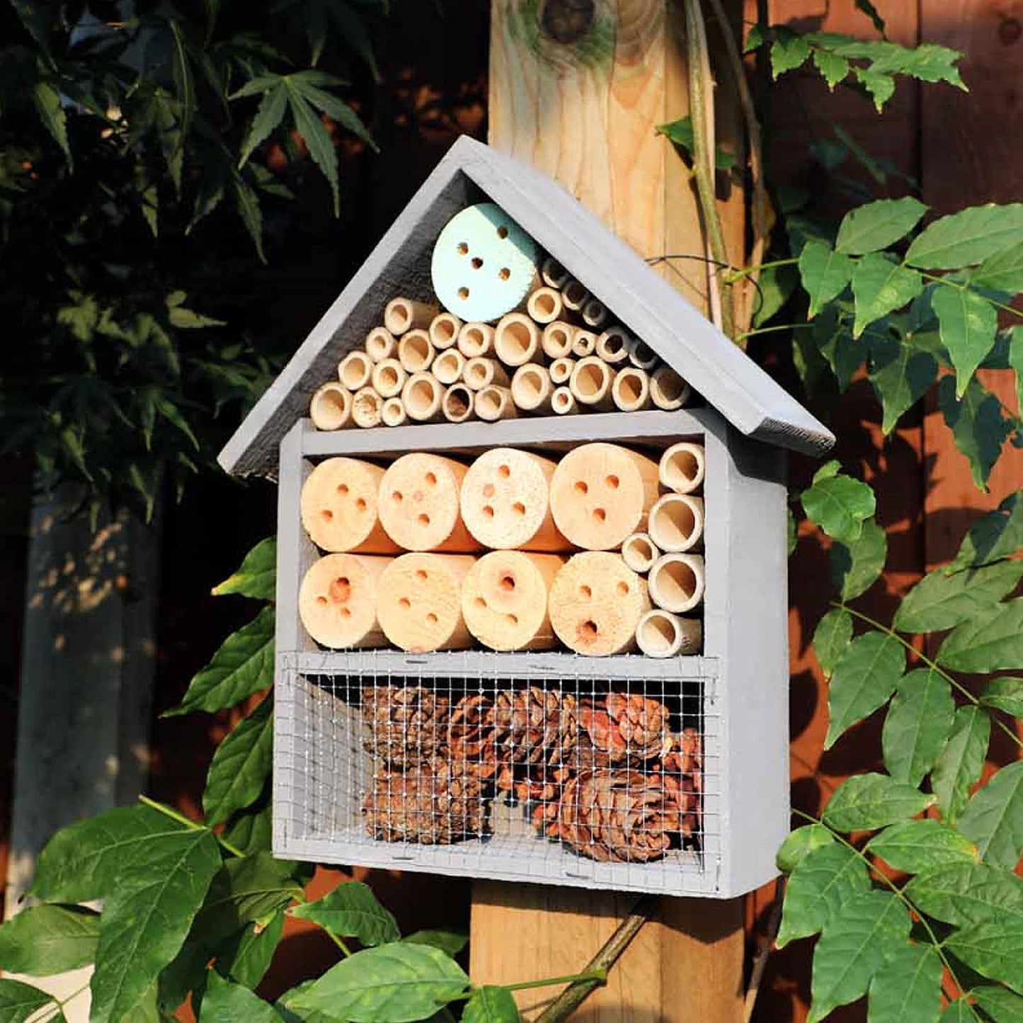 Attract Beautiful Birds with Bird Nut Feeder Feeders