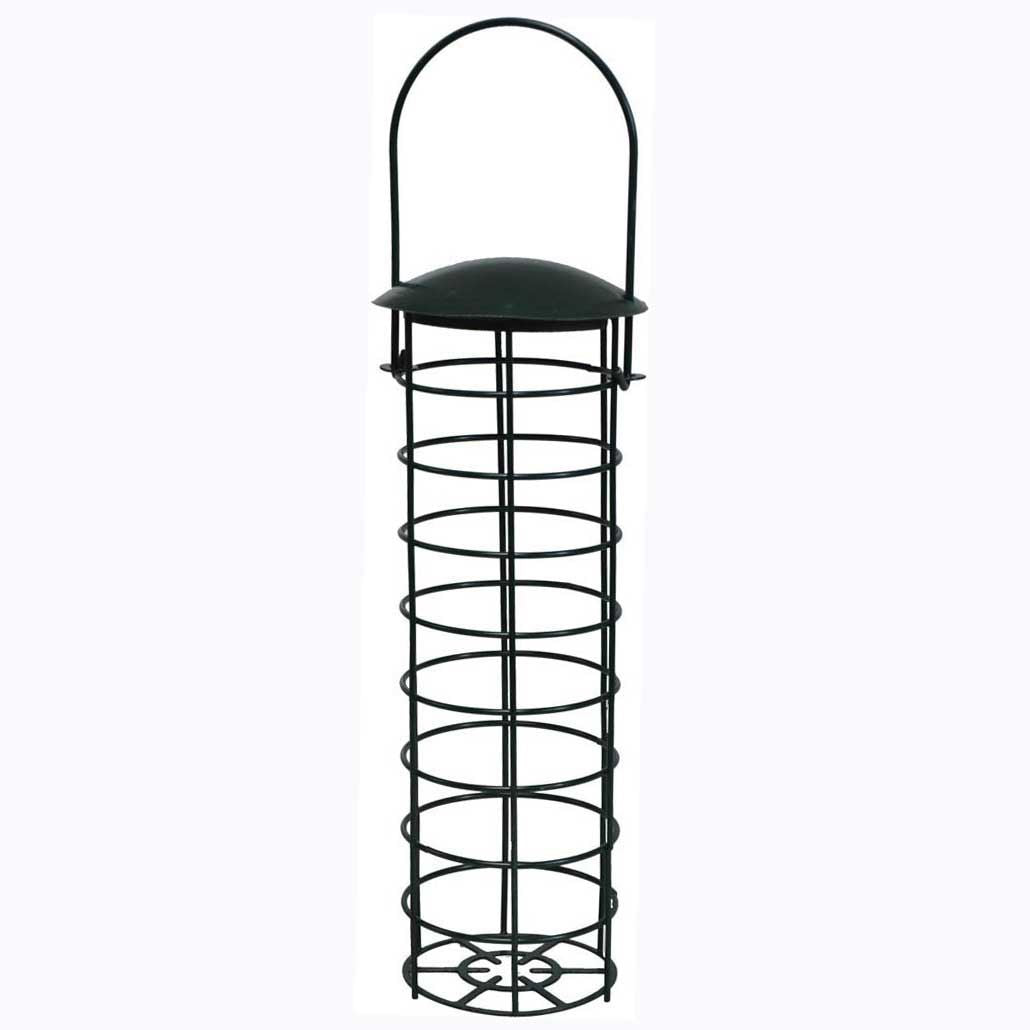 Attract Beautiful Birds with Bird Nut Feeder Feeders