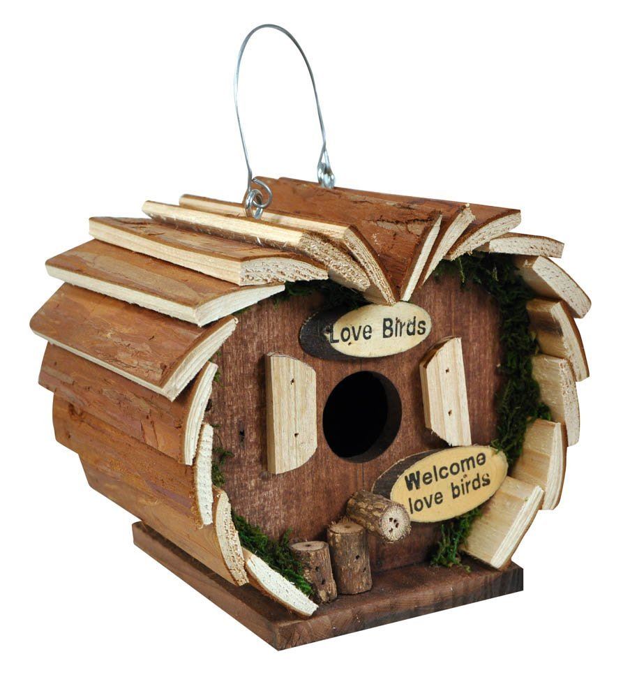 Attract Beautiful Birds with Bird Nut Feeder Feeders