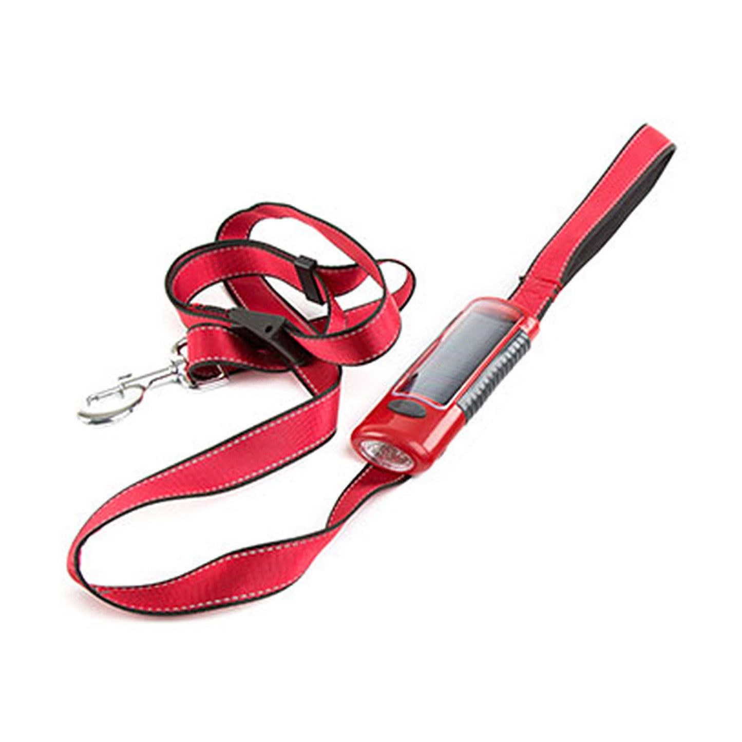 Keep Your Dog Safe and Visible with a LED Leash