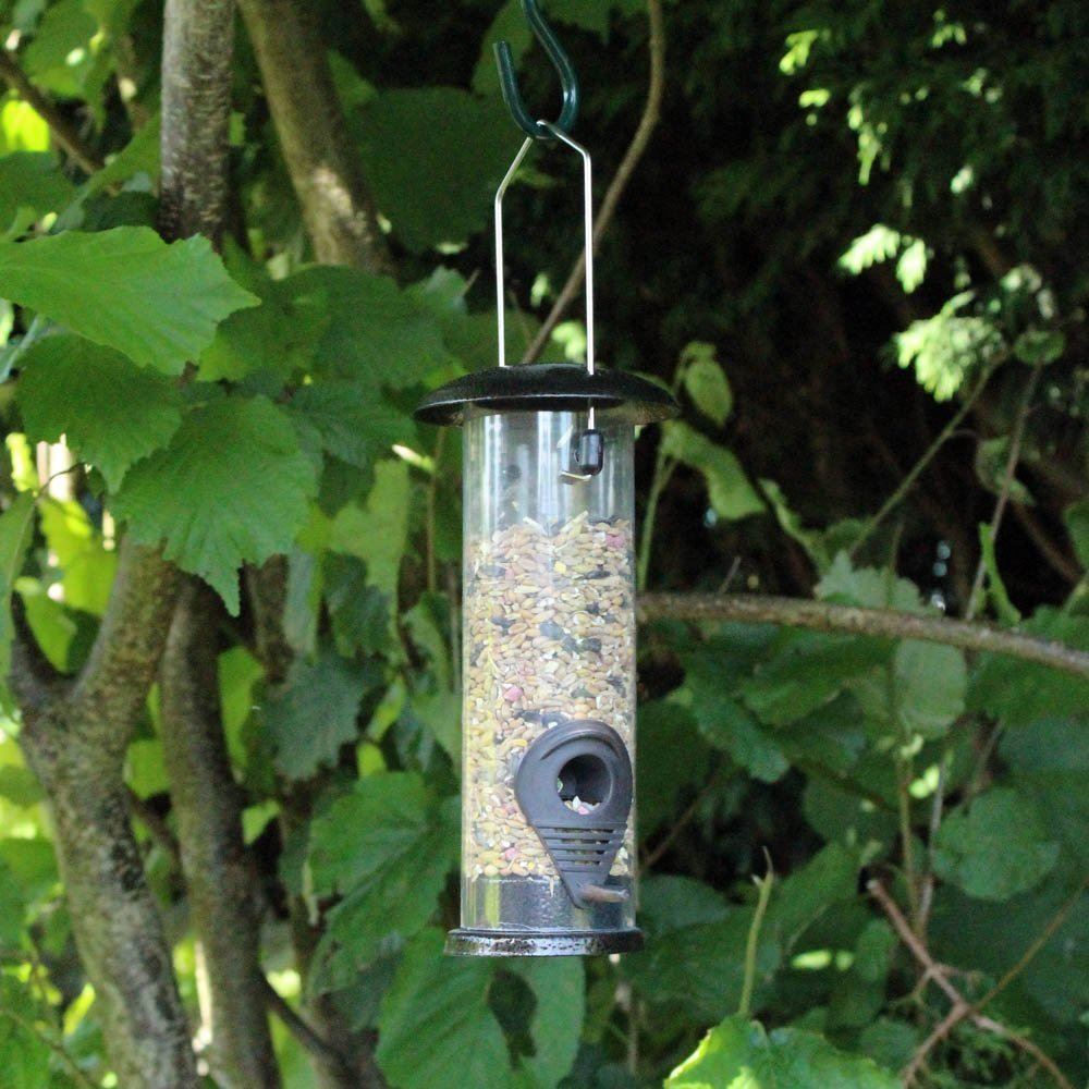 Attract Beautiful Birds with Bird Nut Feeder Feeders