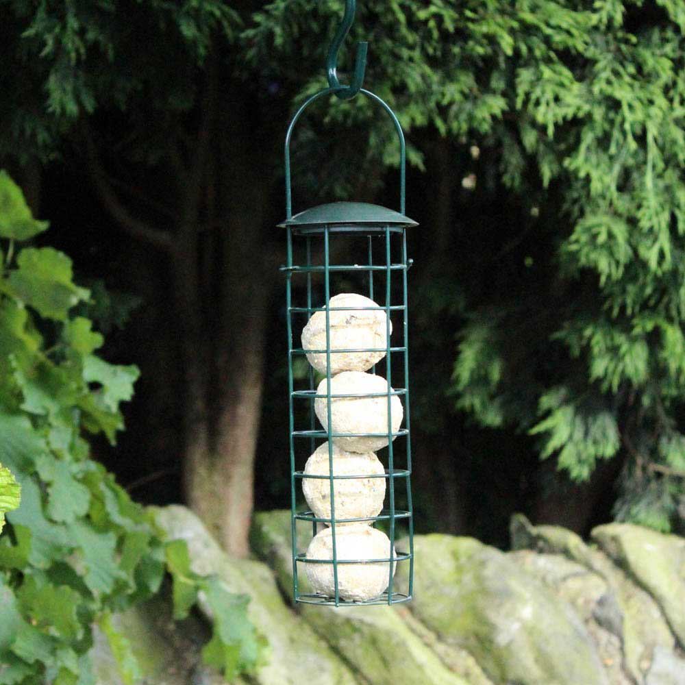 Attract Beautiful Birds with Bird Nut Feeder Feeders