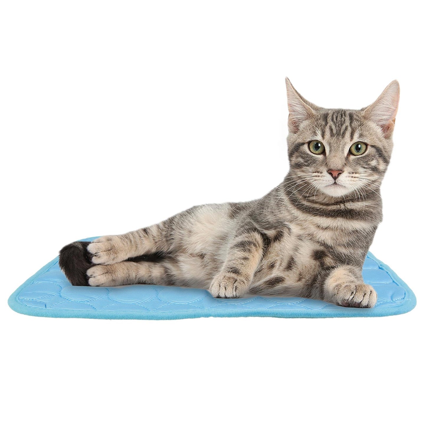 Keep Your Pet Cool with a Cooling Mat