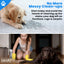 Train Your Pet Dog With Highly Absorbent And Leak-Proof Training Pads