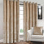 Luxurious Crushed Velvet Curtains for a Glamorous Look