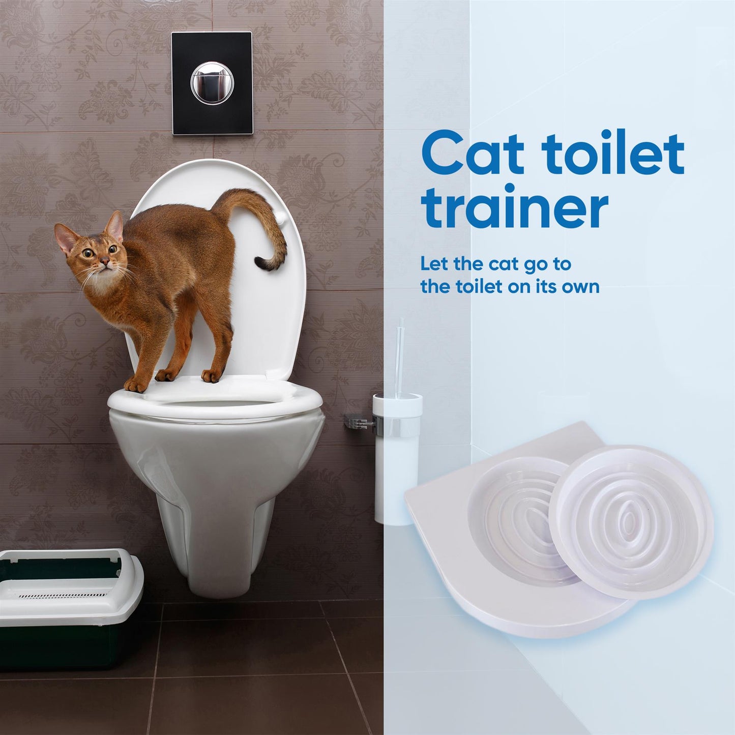 Cat Toilet Seat