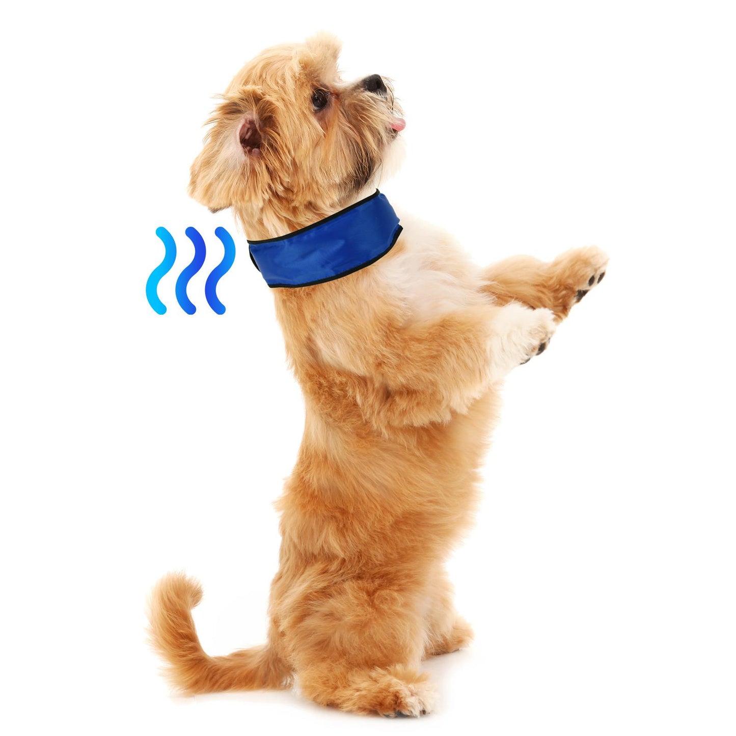 Comfortable Cooling Collar for Dogs
