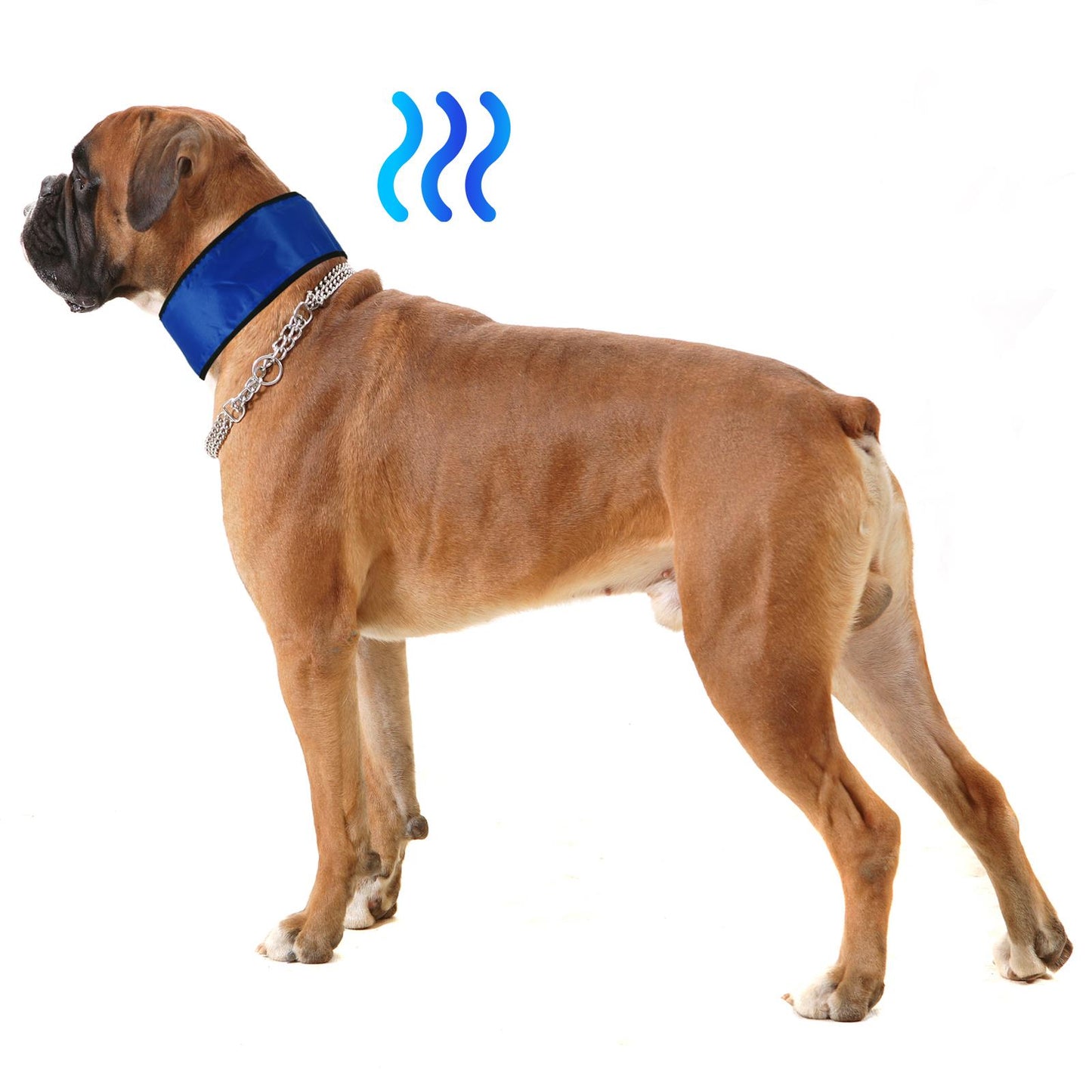Comfortable Cooling Collar for Dogs